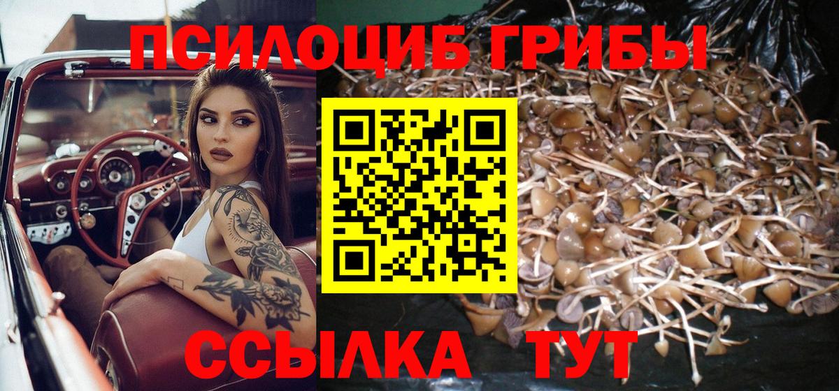 Галлюциногенные грибы Psilocybine cubensis  Псилоцибиновые грибы MAGIC MUSHROOMS  Вход с VPN  Надым 