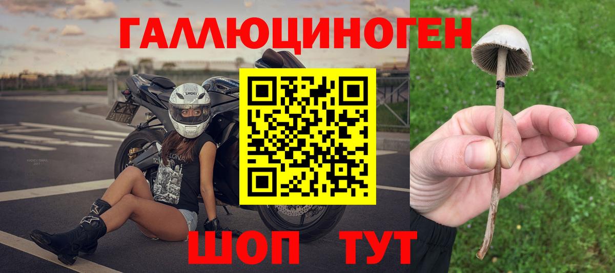 Галлюциногенные грибы GOLDEN TEACHER Надым